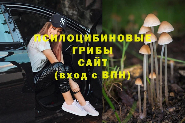 мдпв Верхнеуральск